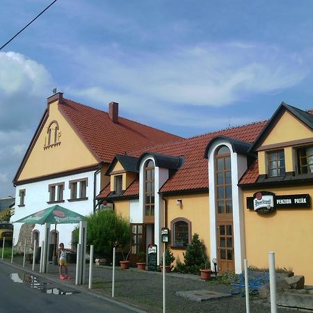 Penzion Paták Kamyk nad Vltavou Esterno foto
